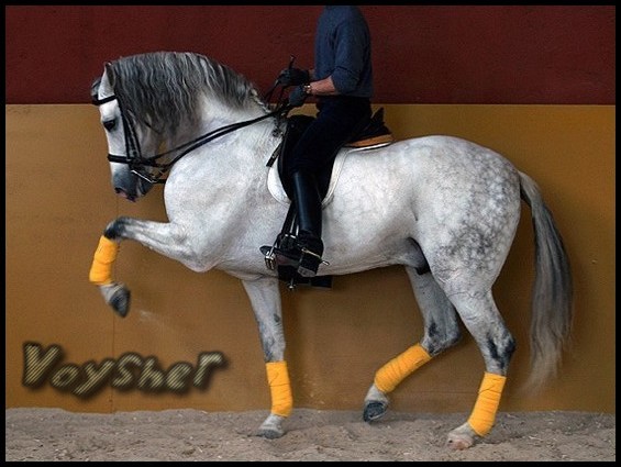 c63803e46c_40676294_o2