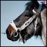 14a19dd169_65389410_o2